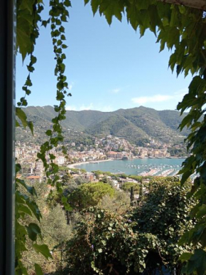Sunrise Rapallo